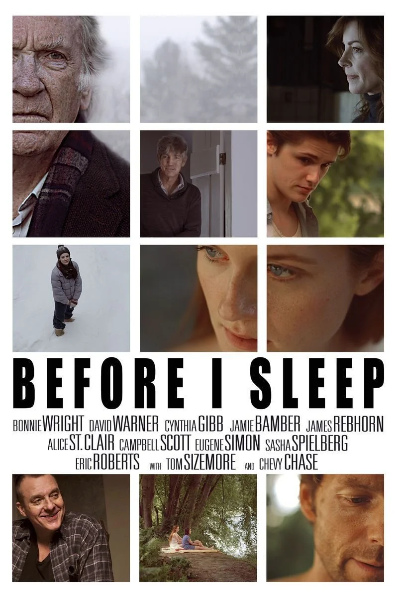 Affiche de Before I Sleep