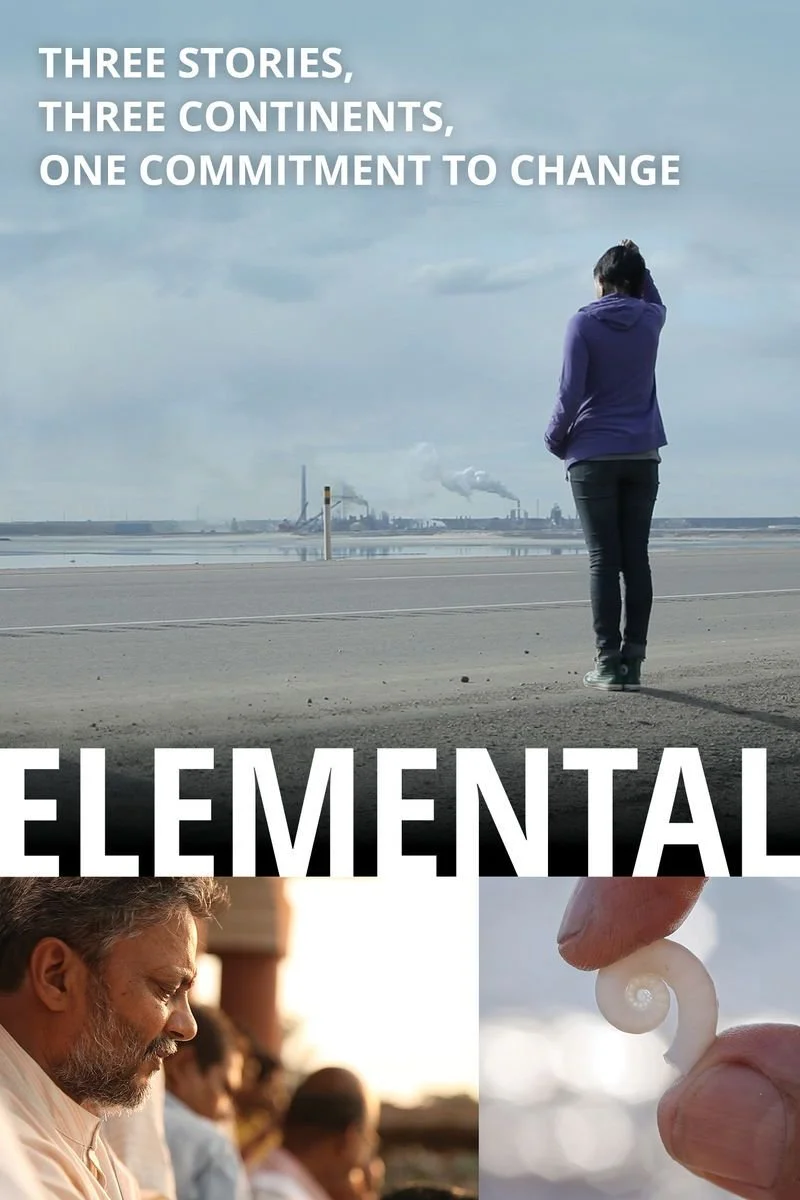 Poster van Elemental