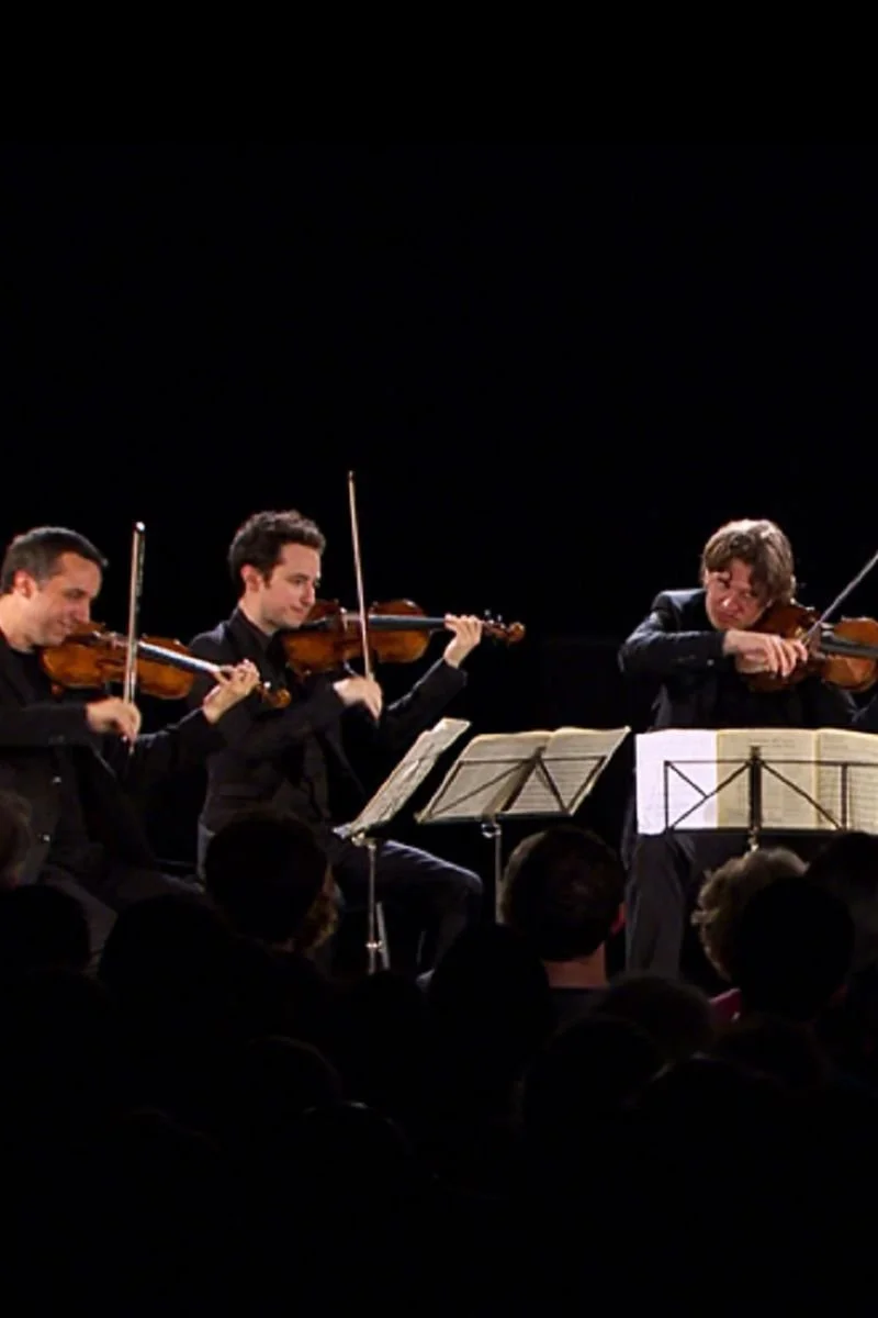 Affiche de Schubert, String Quintet in C Major - Ébène Quartet, Frans Helmerson