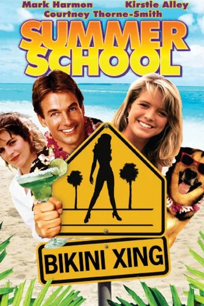 Affiche Summer School