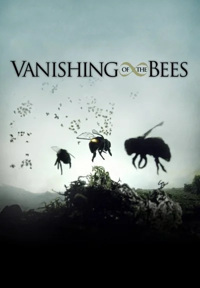 Affiche Vanishing of the Bees