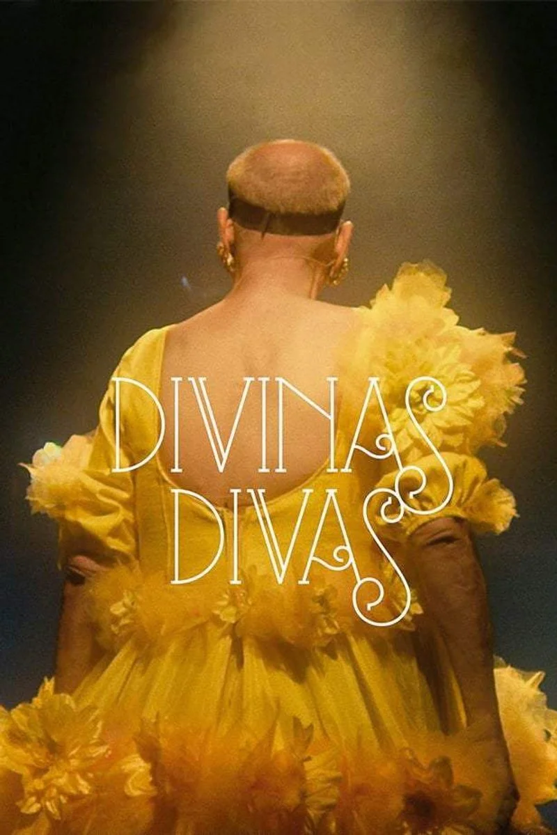 Affiche de Divinas Divas