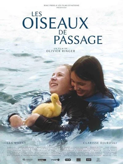 Affiche Piepkuikens