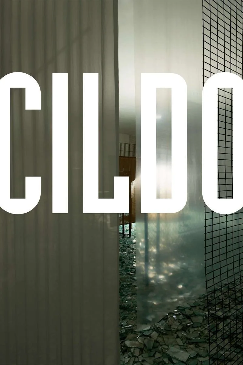 Affiche de CILDO