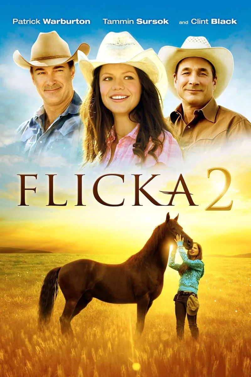 Affiche de Flicka 2 - Amies pour la vie