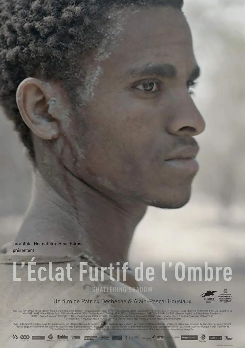 Poster van L'éclat furtif de l'ombre