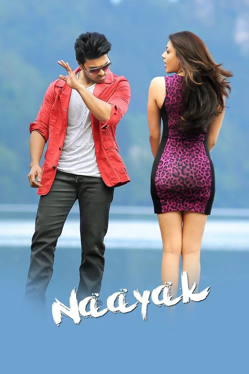 Poster van Naayak