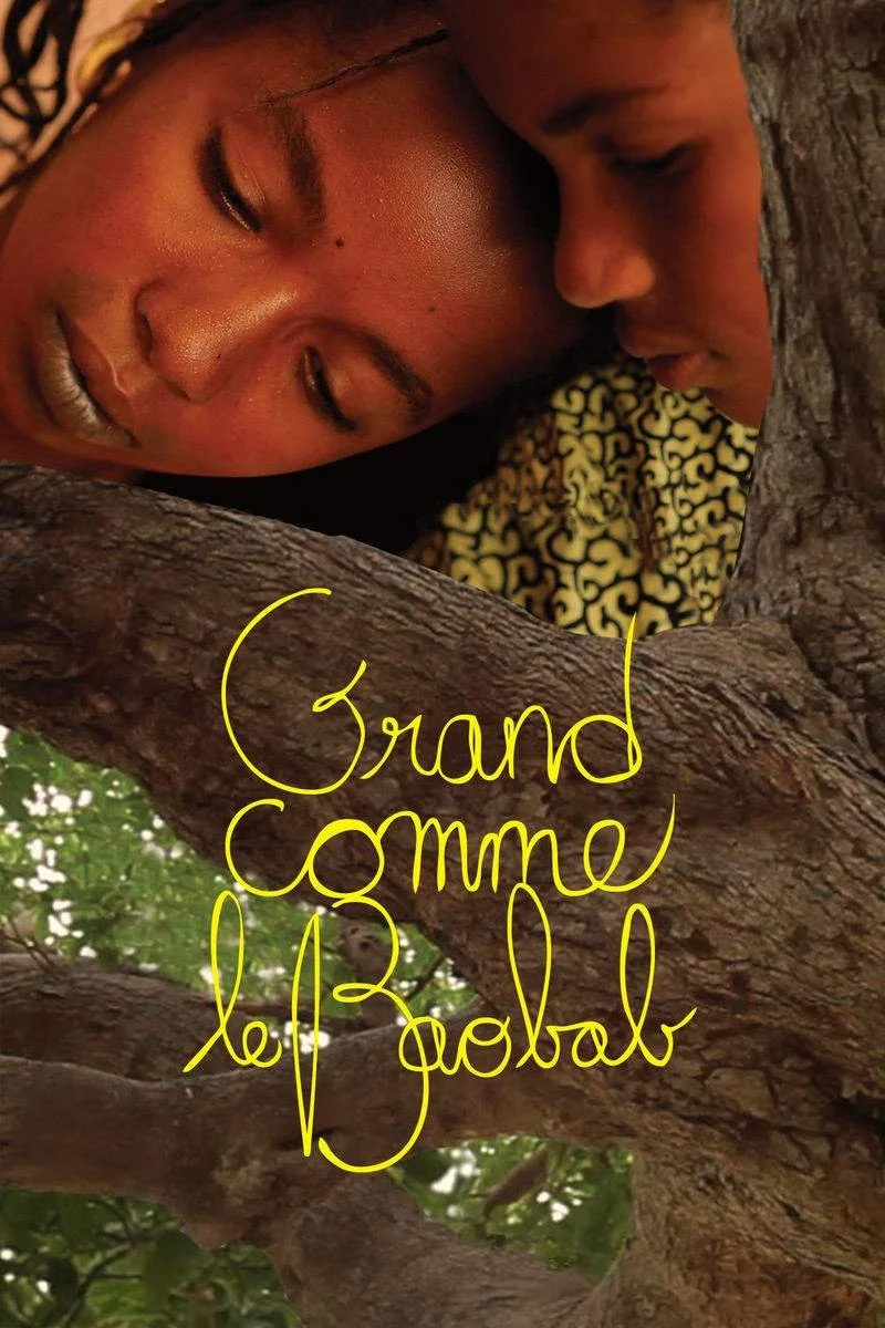 Affiche de Grand comme le baobab