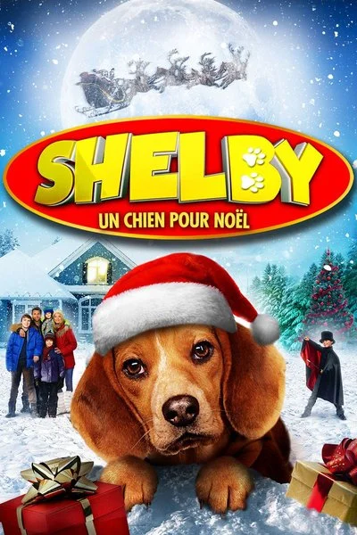 Affiche Shelby