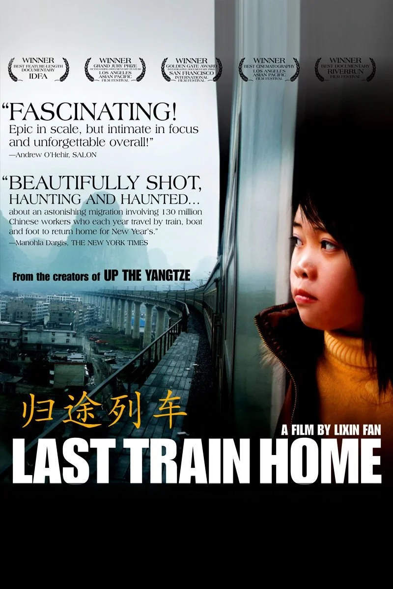 Affiche de Last Train Home
