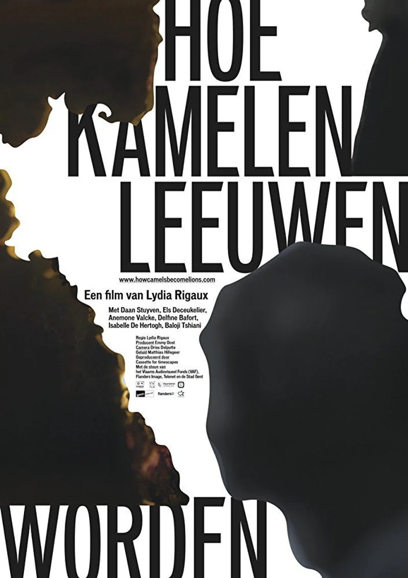 Poster van Hoe kamelen leeuwen worden