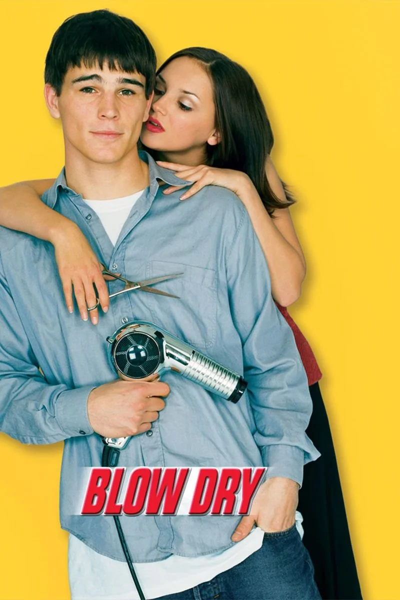 Poster van Blow Dry