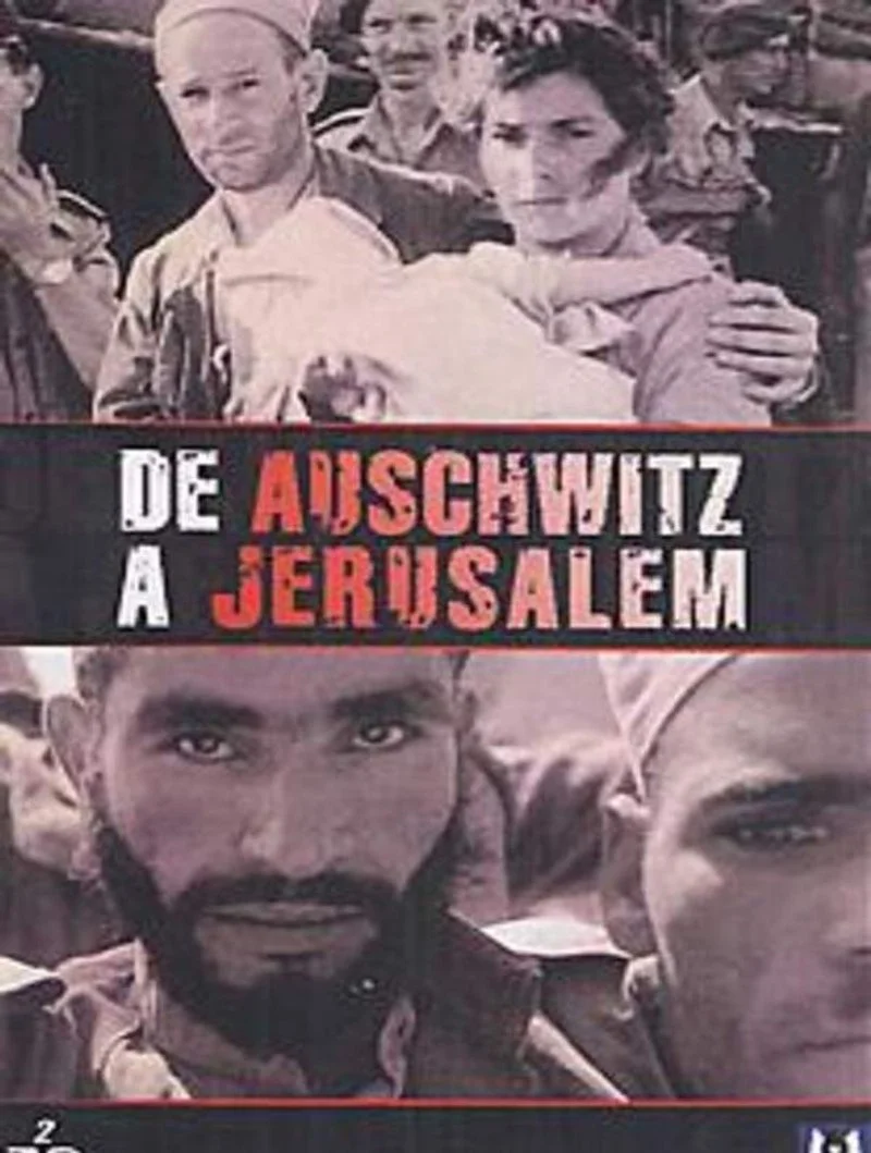Affiche de D'Auschwitz à Jérusalem