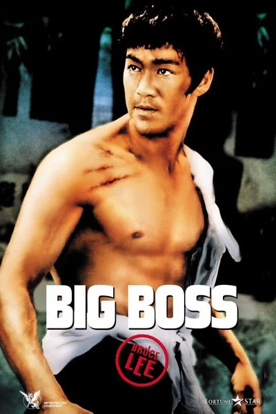 Poster The Big Boss