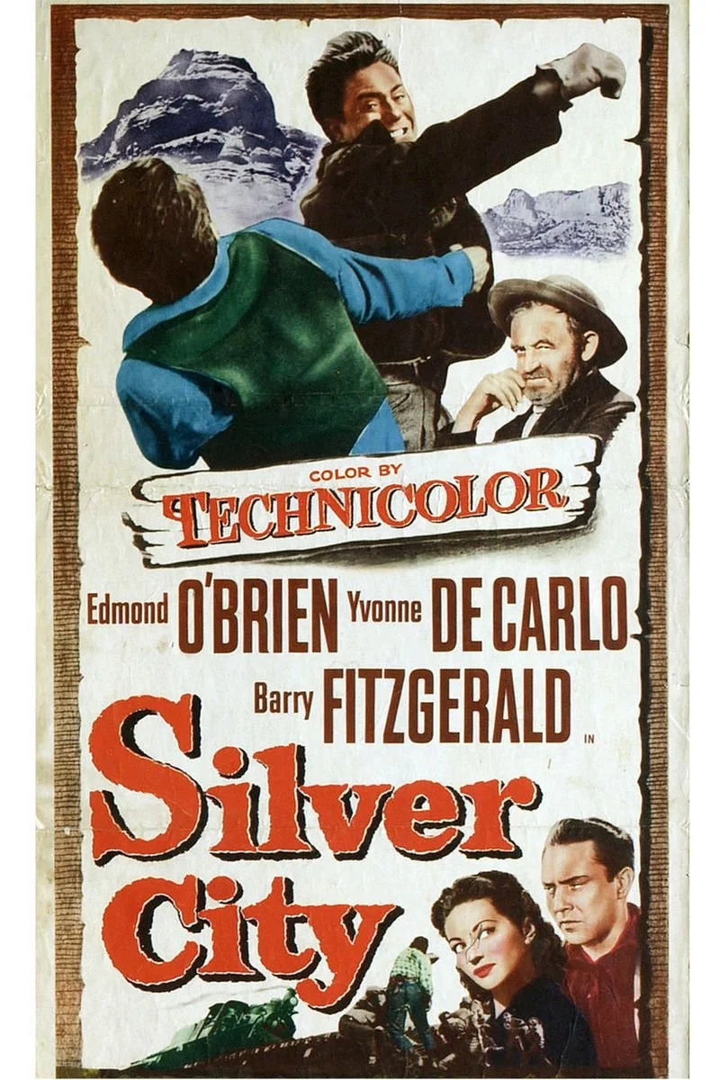 Affiche de Silver City
