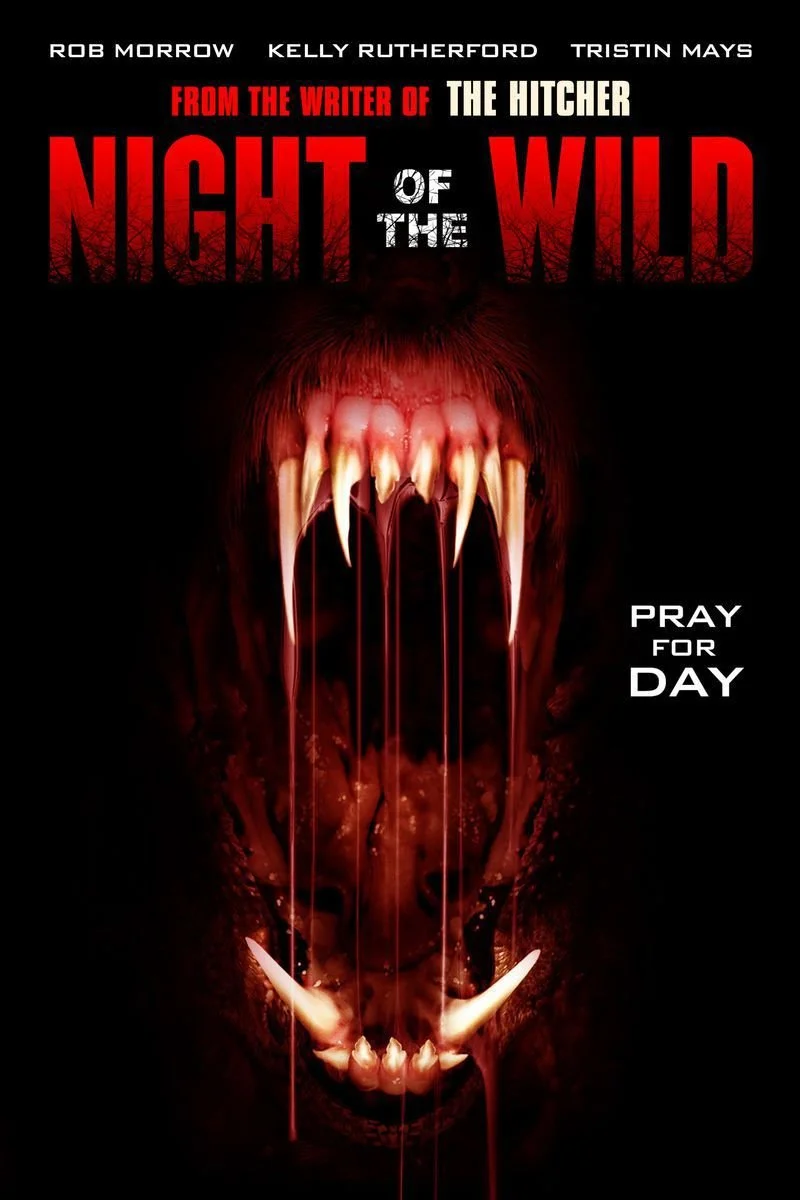Poster van Night of the Wild
