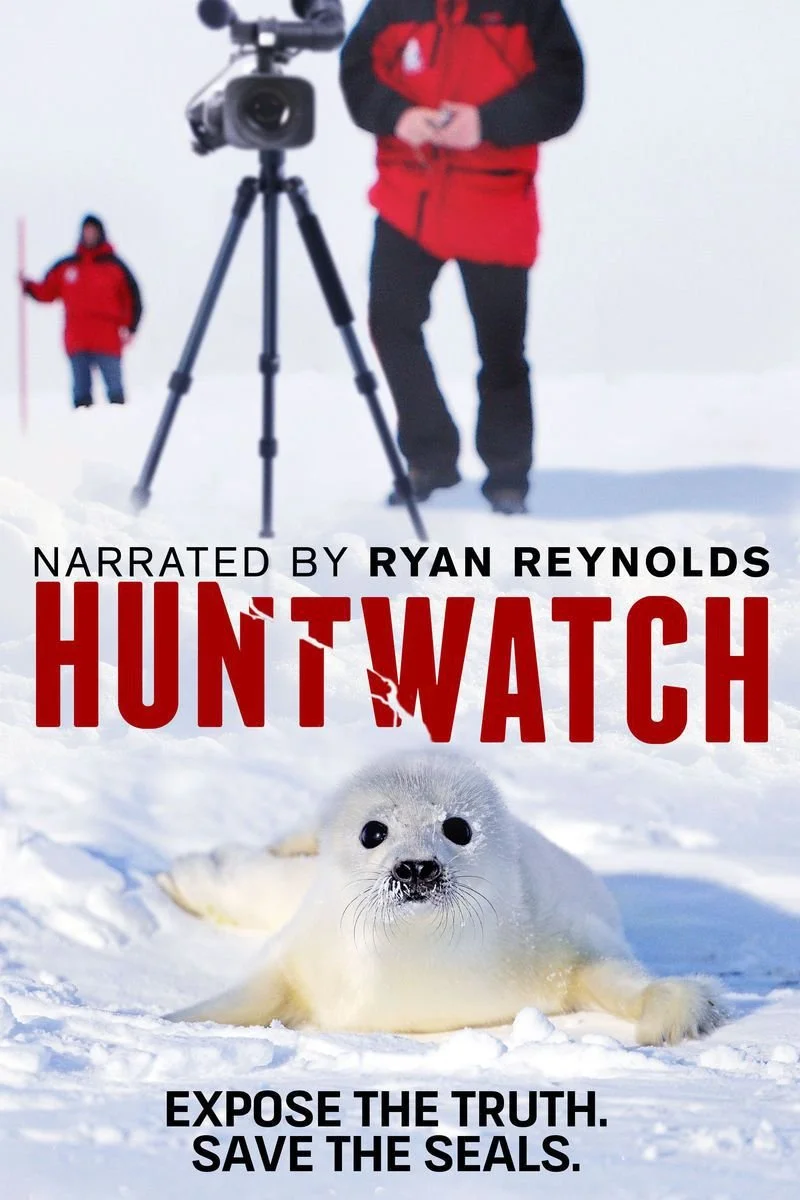 Affiche de Huntwatch