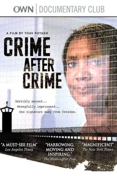 Affiche Crime After Crime