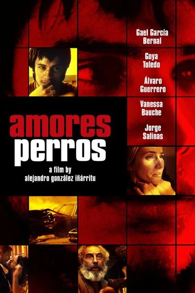 Poster Amores Perros