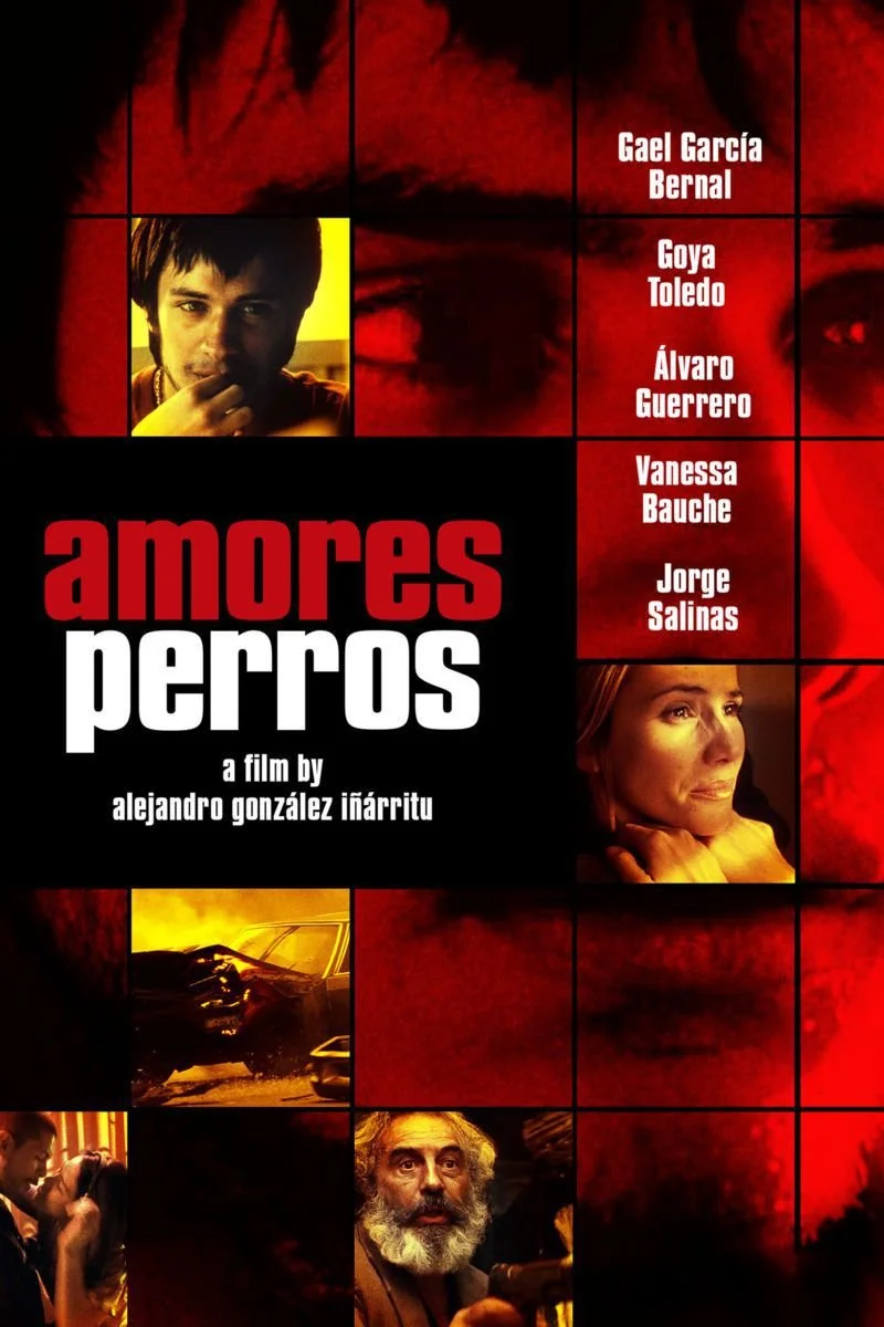 Affiche de Amores Perros