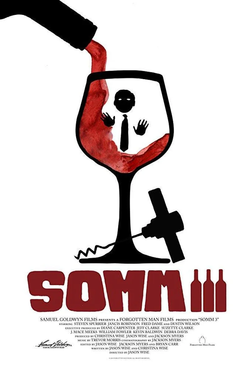 Poster van SOMM 3