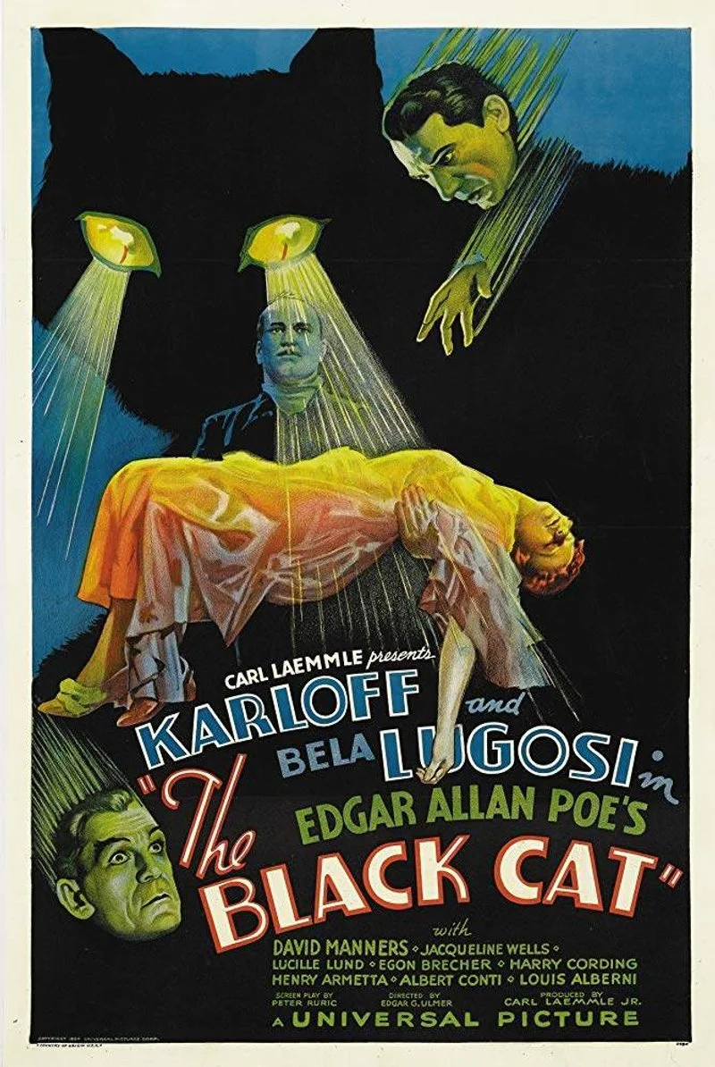Poster van The Black Cat