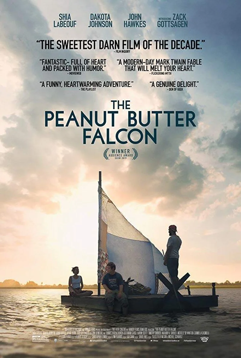 Affiche de Le cri du faucon
