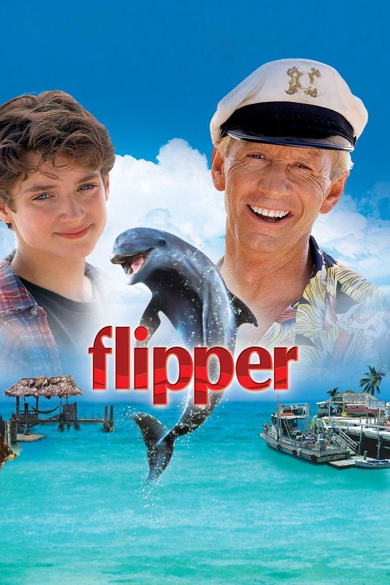 Affiche de Flipper