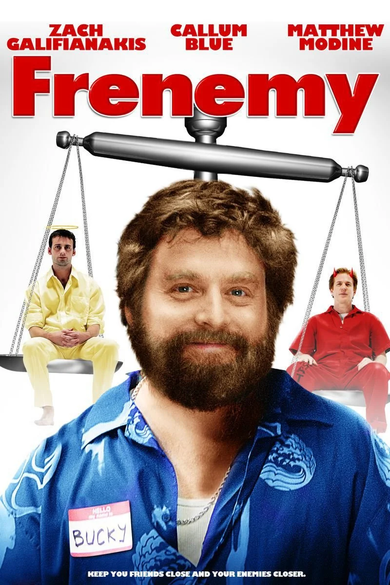 Affiche de Frenemy