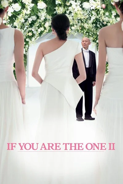 Affiche If You Are the One II
