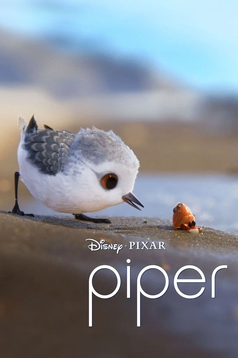 Affiche de Piper