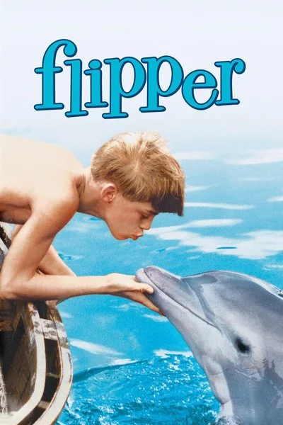 Affiche Flipper