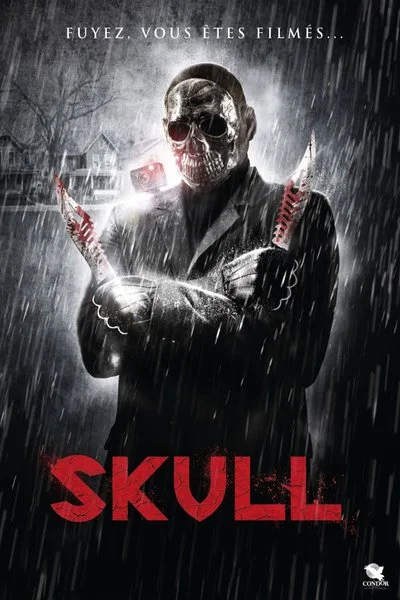 Poster Skull World