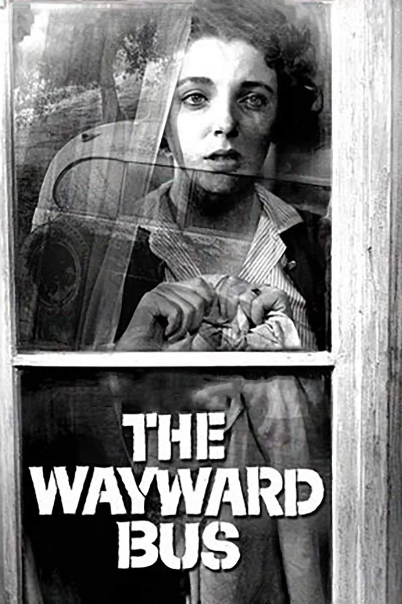 Poster van The Wayward Bus