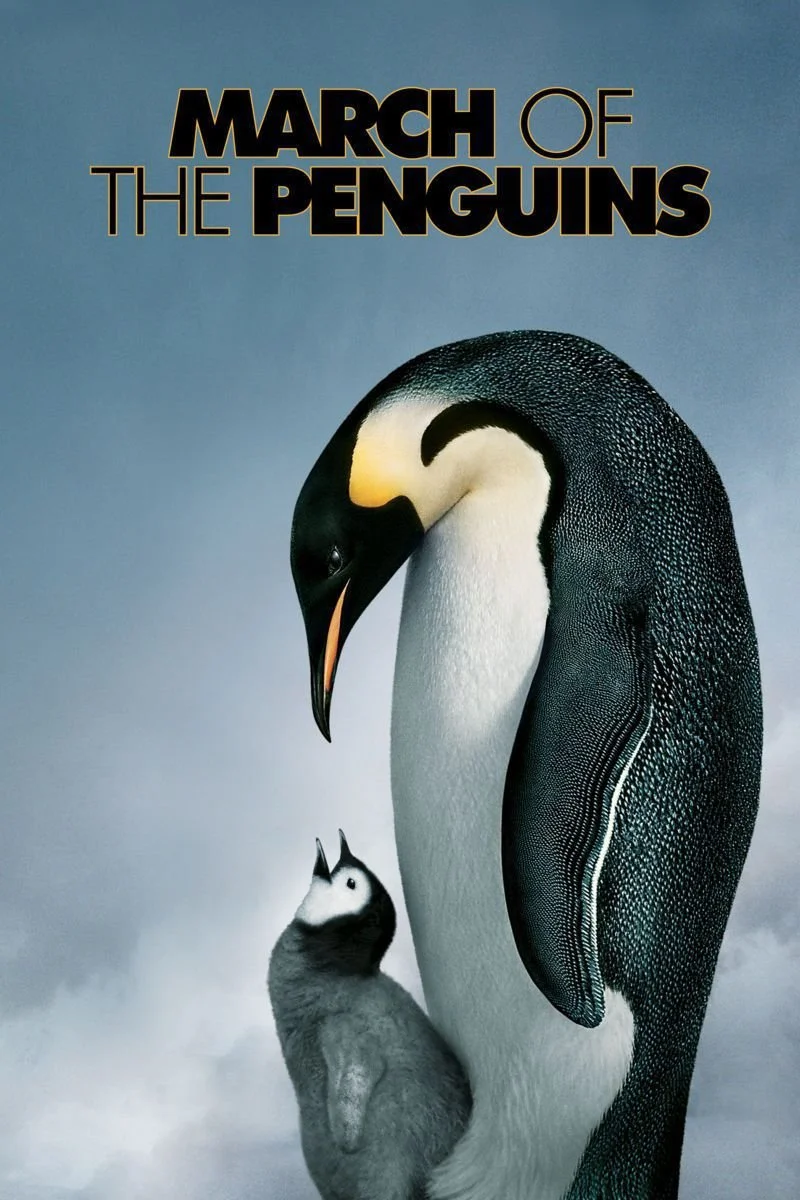 Poster van March of the Penguins