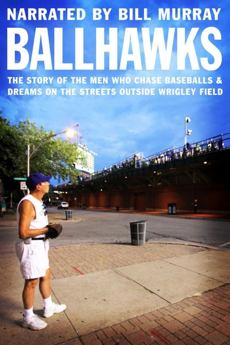 Poster van Ballhawks