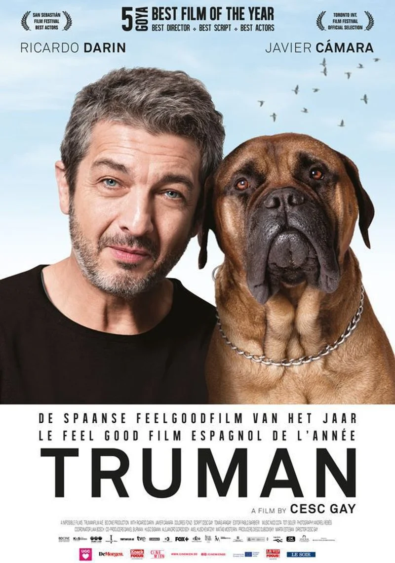 Affiche de Truman