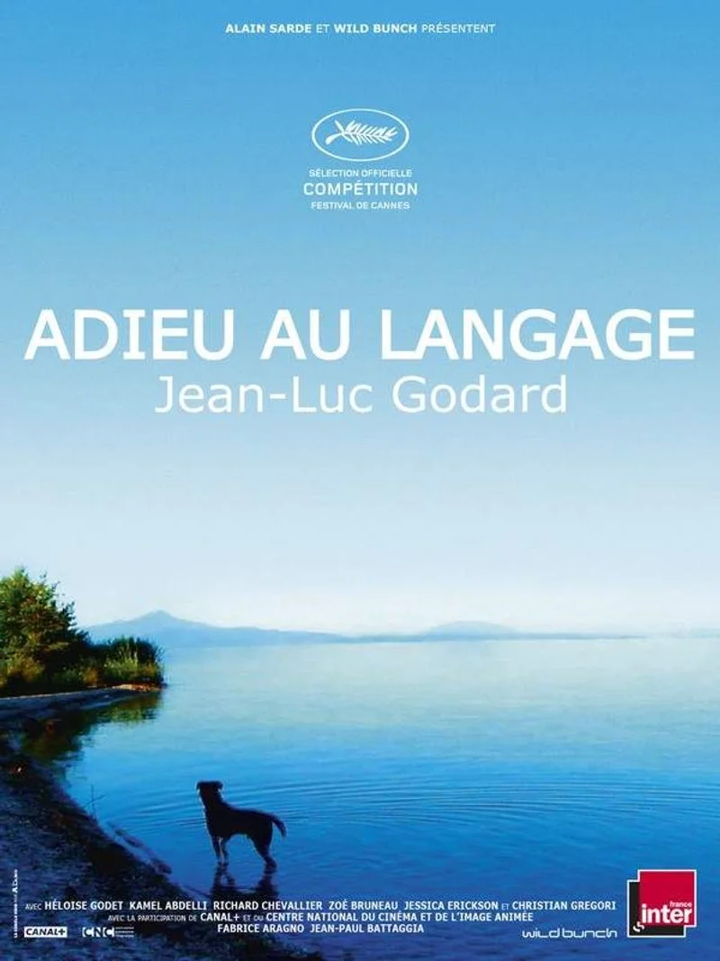 Affiche de Adieu au langage