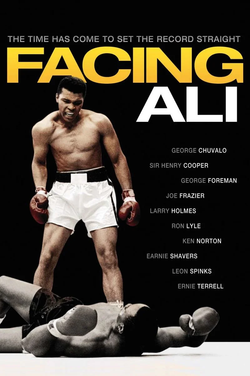 Affiche de Facing Ali
