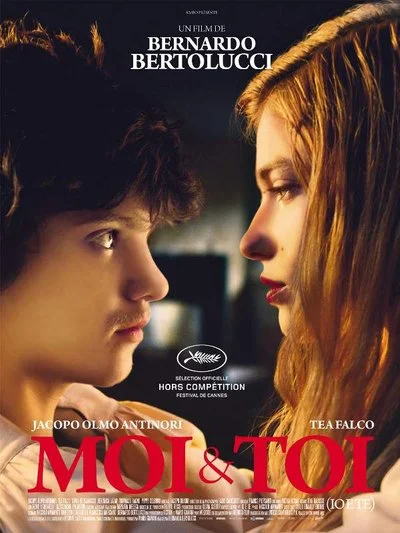 Affiche Moi et toi