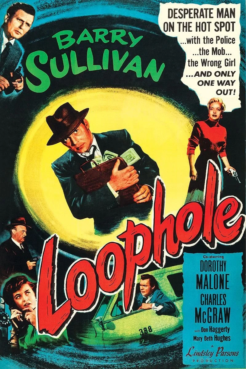 Affiche de Loophole