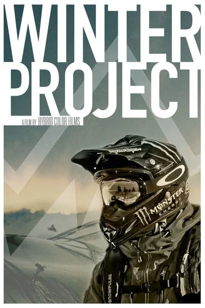 Affiche Winter Project