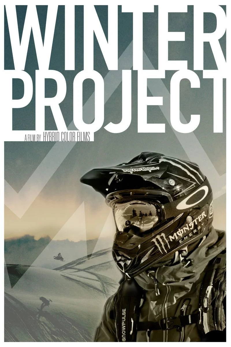 Affiche de Winter Project