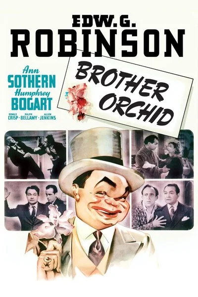 Affiche Brother Orchid