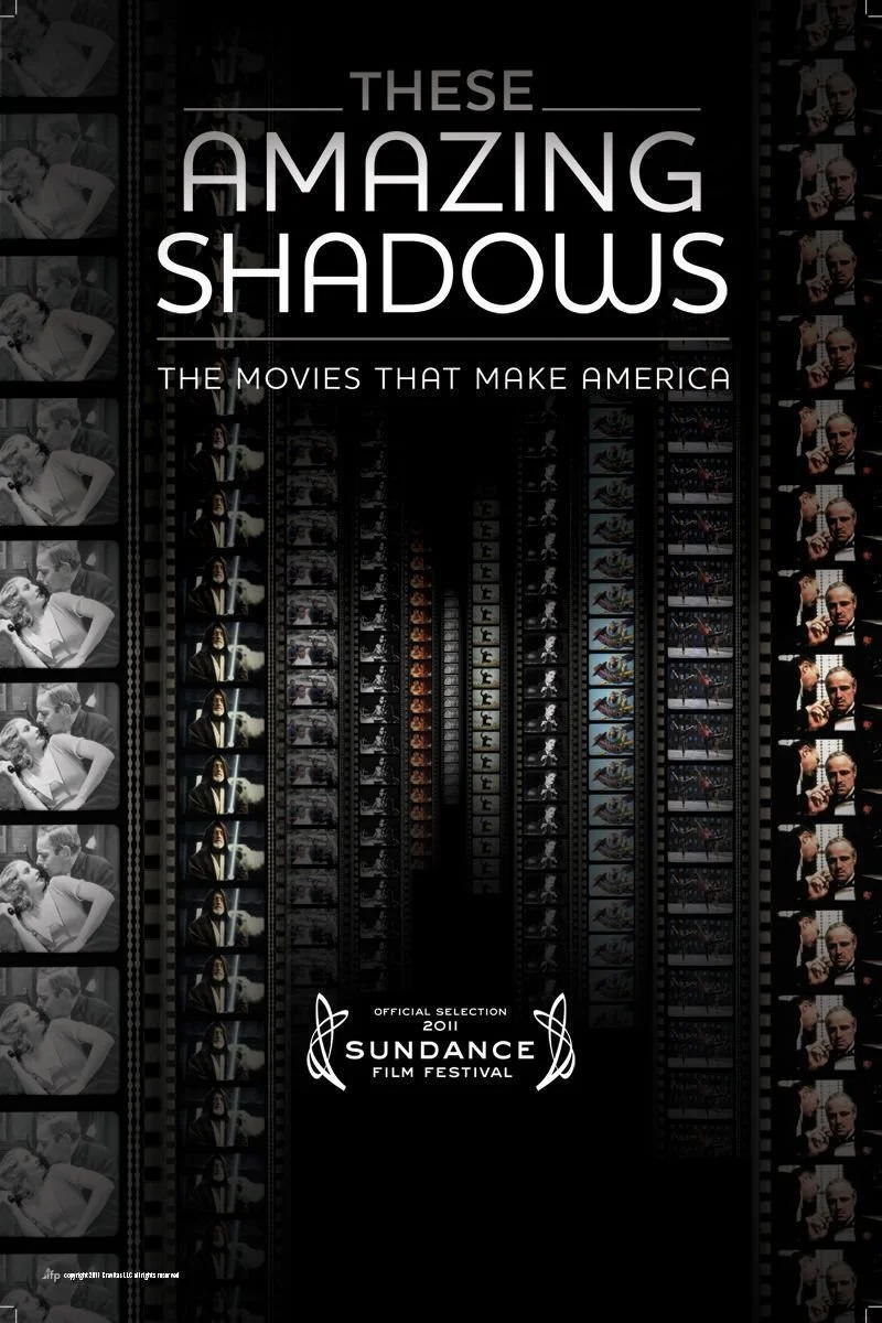Affiche de These Amazing Shadows