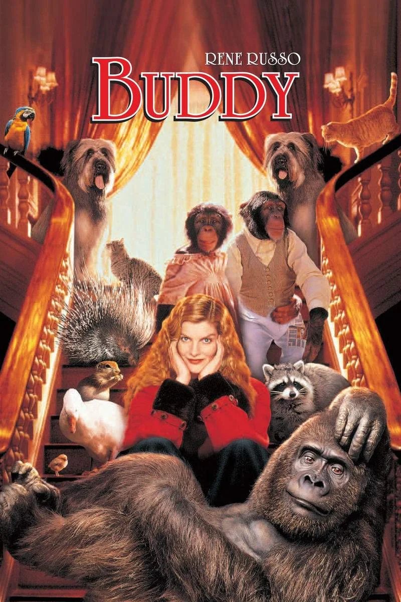 Poster van Buddy