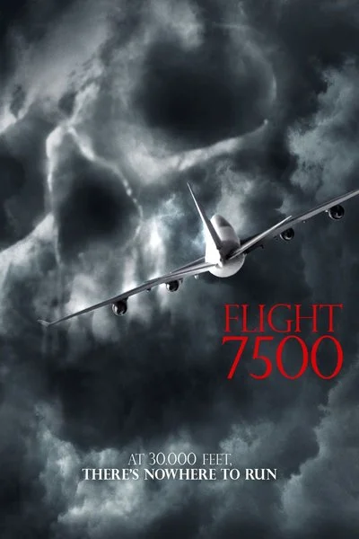 Poster Flight 7500