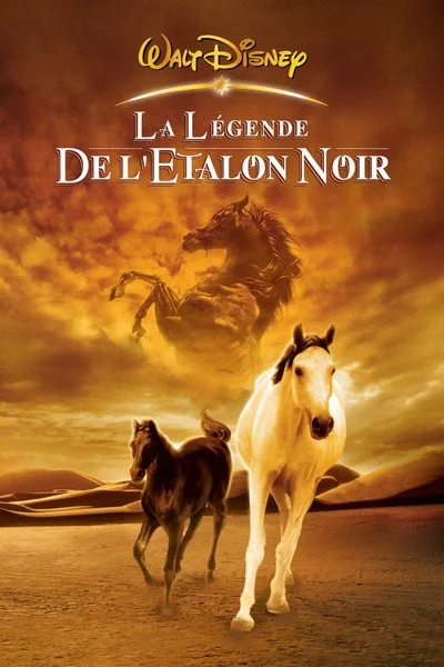 Affiche La Légende de l'étalon noir
