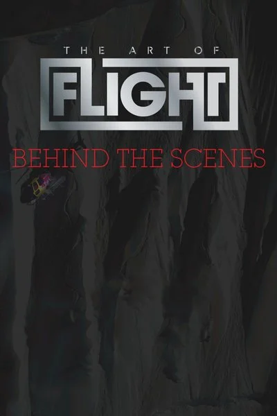 Affiche The Art of Flight
