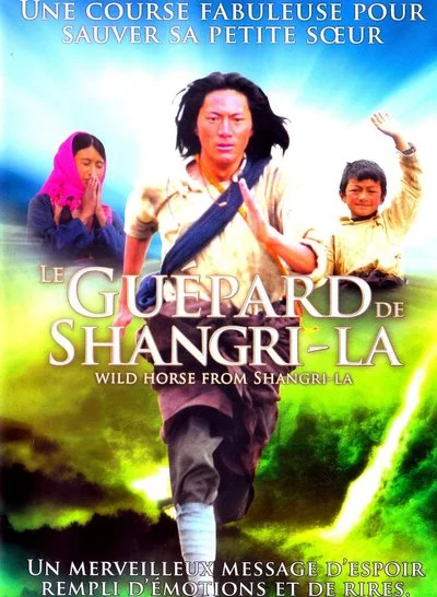 Poster Wild Horse from Shangri-La